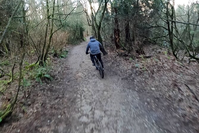 Spirit Of Vancouver Bike or Ebike Tour - Customer Feedback