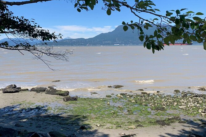 Spirit Of Vancouver Bike or Ebike Tour - Scenic Highlights