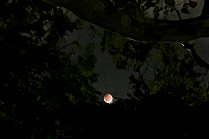 Spirits of Savannah Private Guided Walking Tour - Overview of the Tour