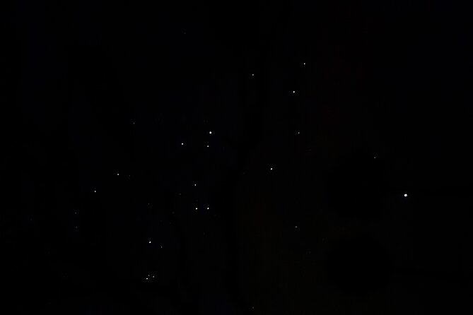 Spirits of Savannah Private Guided Walking Tour - Pricing and Booking Details