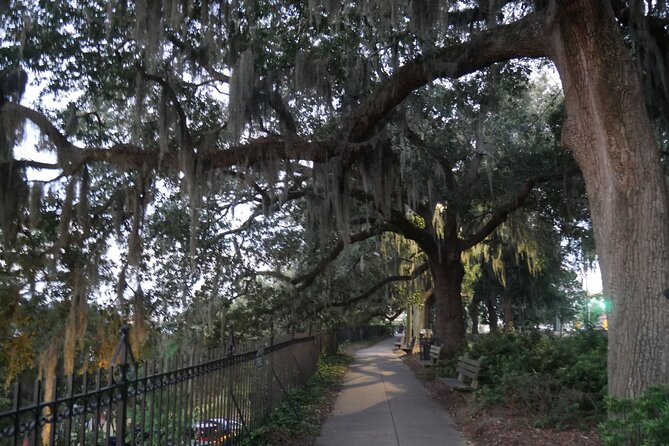 Spirits of Savannah Private Guided Walking Tour - Tips for Your Walking Tour