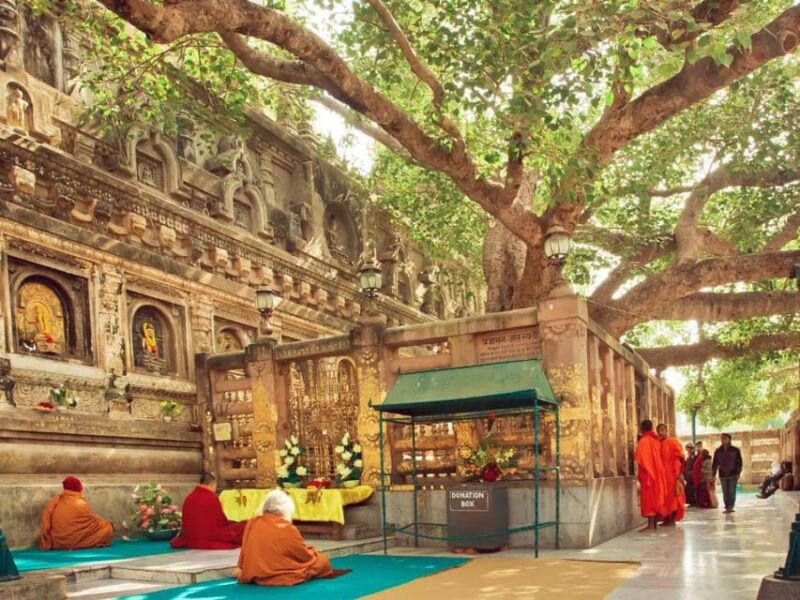Spiritual, Bodhgaya Tour (01 Night / 02 Days) - Itinerary: Day 02