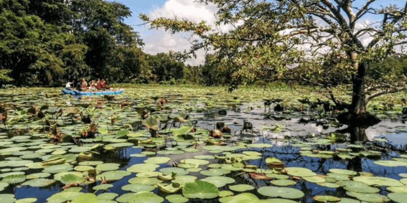 Splendors of Sigiriya: All-Inclusive Private Journey - Inclusions and Exclusions