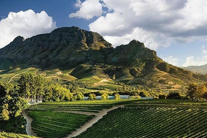 Splendour in the Winelands - Private Tour - Included Experiences