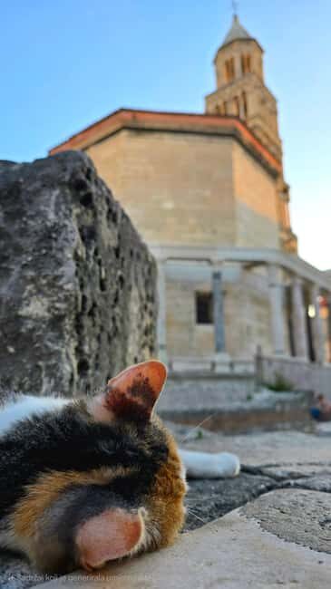 Split and Diocletian's Palace walking tour with a local guid - Exploring Split’s Heart: Diocletian’s Palace and Beyond