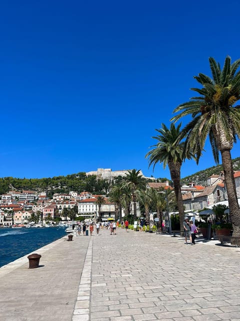 Split: Blue Cave 5 Island Tour With Hvar & Vis Full Day Trip - Customer Reviews and Feedback