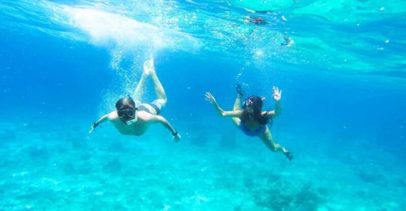 Split: Blue Lagoon, Hvar and 5 Islands Small Group Boat Tour - What to Expect and Why It Matters
