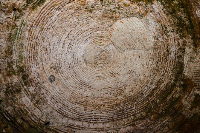 Split Diocletian's Palace & cellars Private Tour - Entrance incl. - A Closer Look at What You’ll Experience