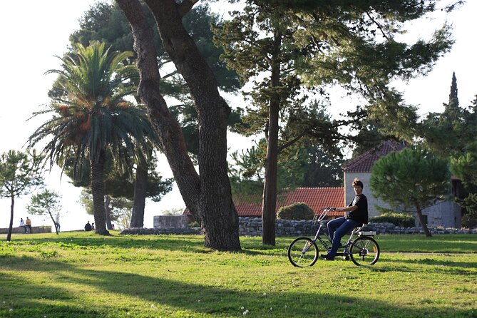Split Electric Bicycle Tour - Local Guide Insights
