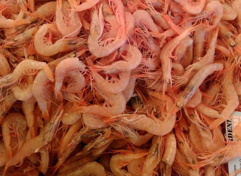 Split: Food Tasting Walking Tour - Who Will Appreciate This Experience?