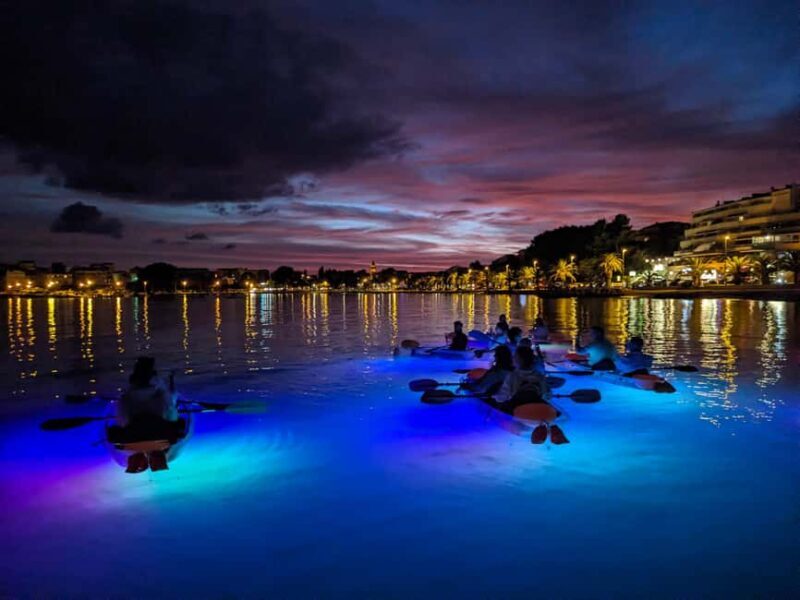 Split: Illuminated Evening Guided Kayaking Tour - Key Points