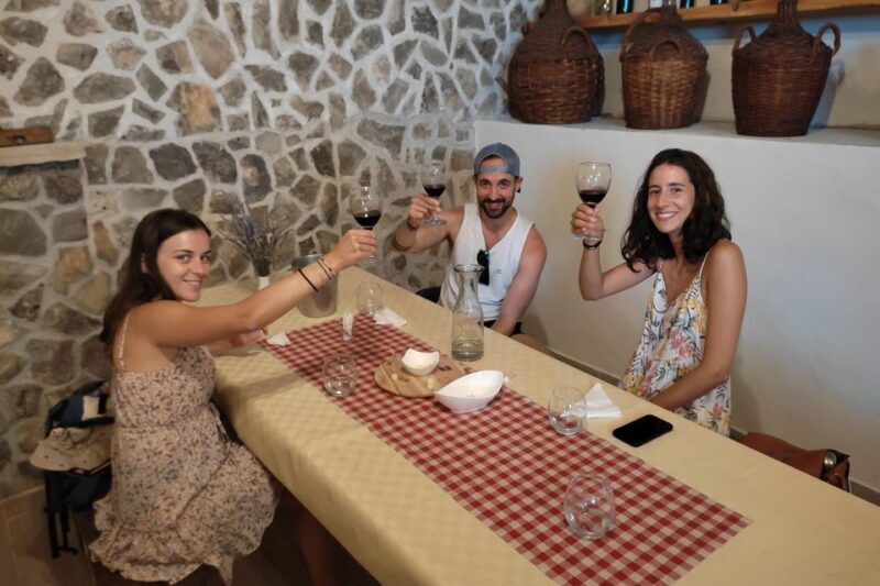 Split: Krka National Park Full-Day Tour with Wine Tasting - A Taste of Croatia: Wine Tasting in Plastovo