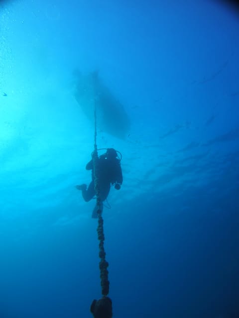 Split-Makarska-Brela Try SCUBA Dive - Experience Details
