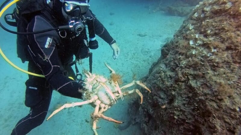 Split-Makarska-Brela Try SCUBA Dive - Booking Information
