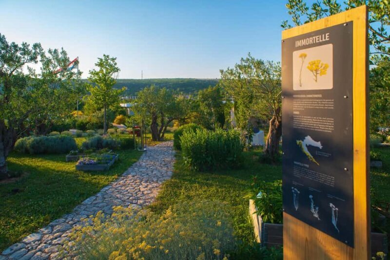 Split: Olive museum Klis with Olive Oil Tasting - An In-Depth Look at the Tour Experience