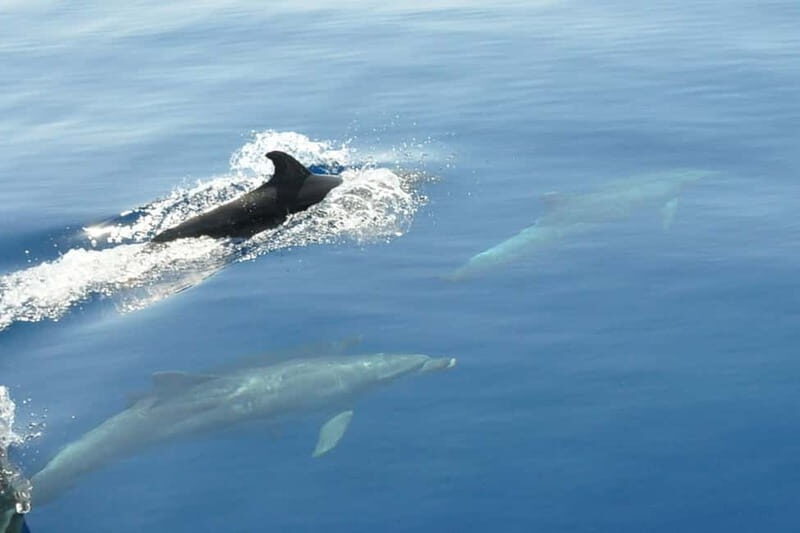 Split: Private Blue Lagoon 3 islands with speed boat - Price, Value, and What’s Included