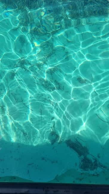 Split: Private Blue Lagoon & olta Shipwreck Tour - Key Points