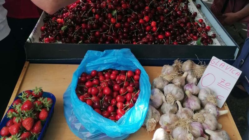 Split; Private Morning Walking Tour in Split - A Deep Dive into the Experience