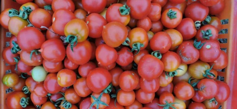 Split; Private Morning Walking Tour in Split - FAQs