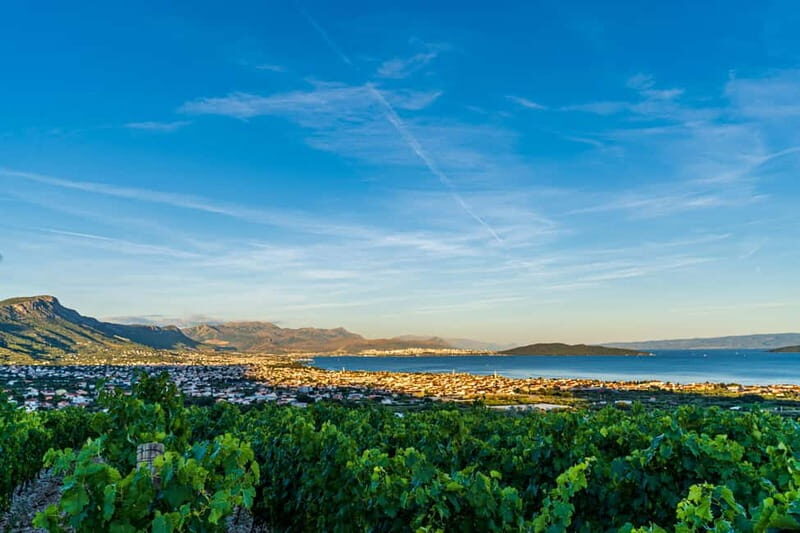 Split: Sip & Celebrate Wine-tasting Hen Party in a Vineyard - Authenticity and Scenic Setting