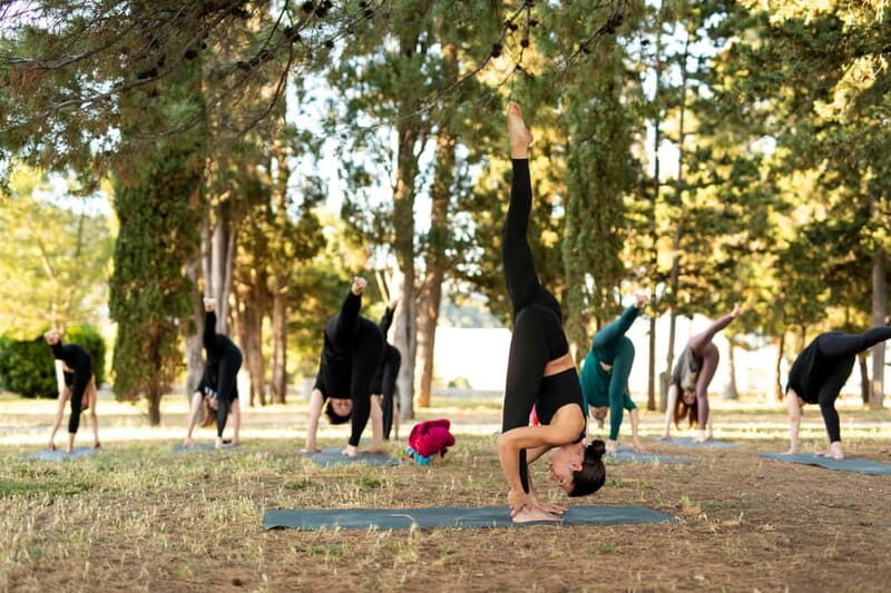 Split: Sunset Yoga Class with a Sea View - Practical Tips for Participants