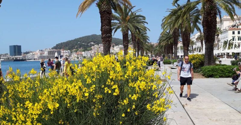 SPLIT:PRIVATE Emperor's Walk for History Lovers+Museum - FAQ: Quick Answers for Interested Travelers