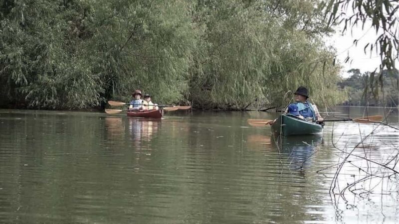 Spooky Swamp | Evening Paddle on Lake Charlotte(Sunset Tour) - Key Points