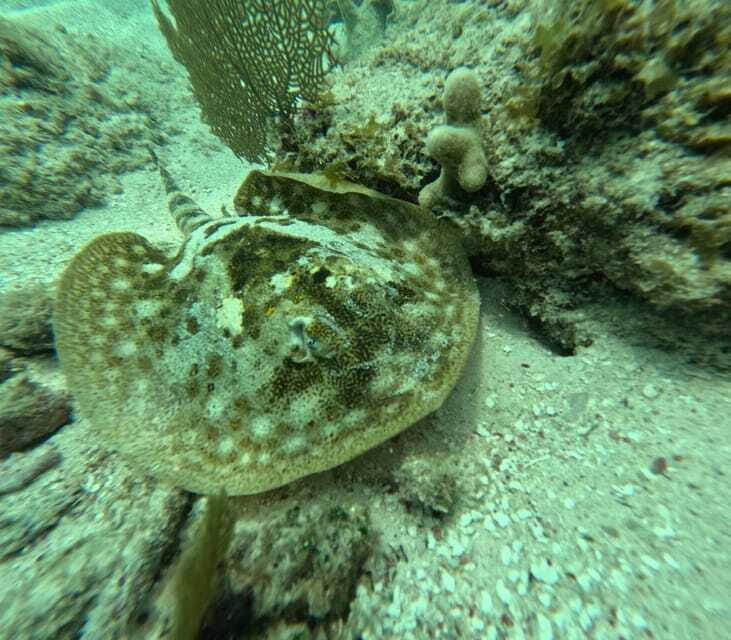 sport fishing and snorkeling in the reef in costa maya - FAQ