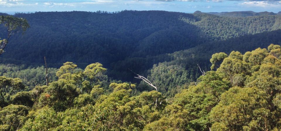 Spring Brook National Park Self Guided Driving Tour - Cancellation Policy