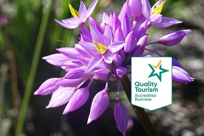 Spring Wildflower Private Day Tours - Key Points