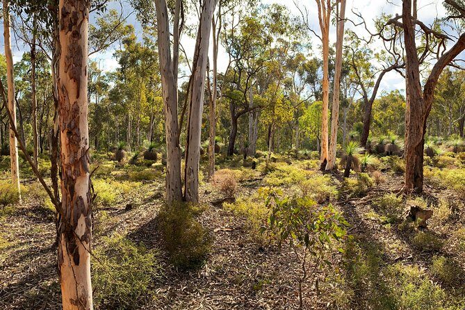 Spring Wildflower Private Day Tours - Detailed Breakdown of the Wildflower Tour Experience