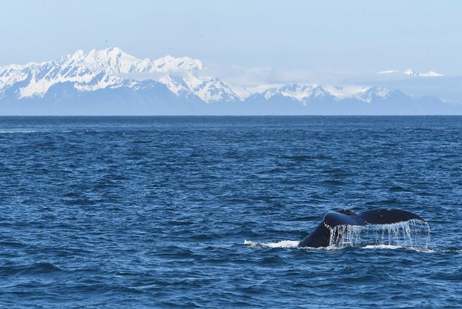 Spring Wildlife Cruise - Booking Information