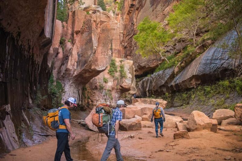 Springdale: Full-Day Zion National Park Canyoneering Tour - Key Points