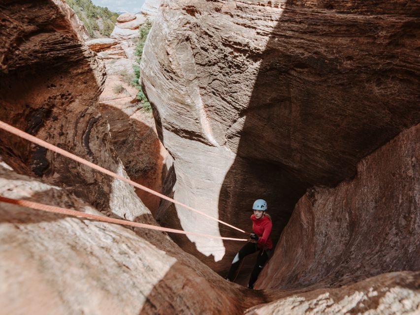 Springdale: Half-Day Canyoneering and Climbing Adventure - Canyoneering Experiences