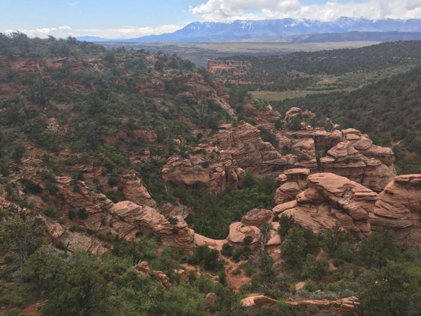 Springdale: Half-Day Canyoneering Experience - Location and Transportation