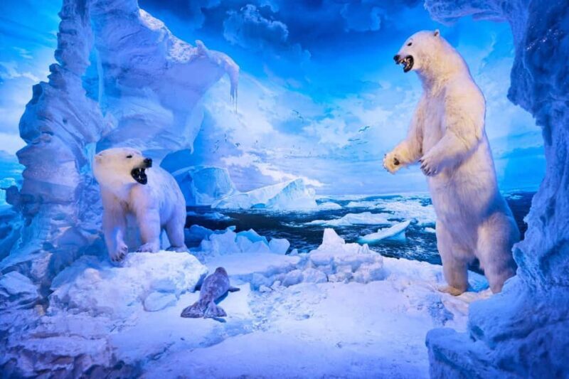 Springfield: Wonders of Wildlife National Museum & Aquarium - Final Thoughts