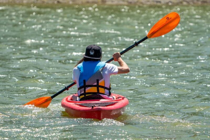 Squamish: 4 Hour Single Sit In Kayak Rental - The Experience Itself: What You Can Expect
