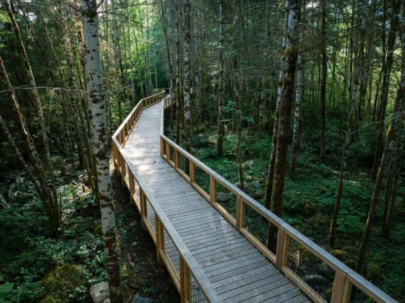 Squamish Canyon: Admission Ticket - Authentic Feedback from Visitors