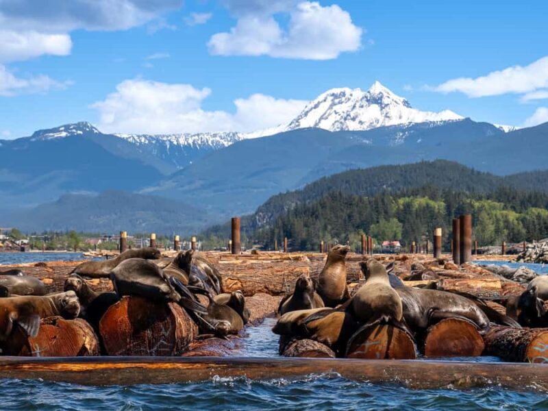 Squamish: Howe Sound Boat Tour with Wildlife Spotting - Exploring the Experience in Detail