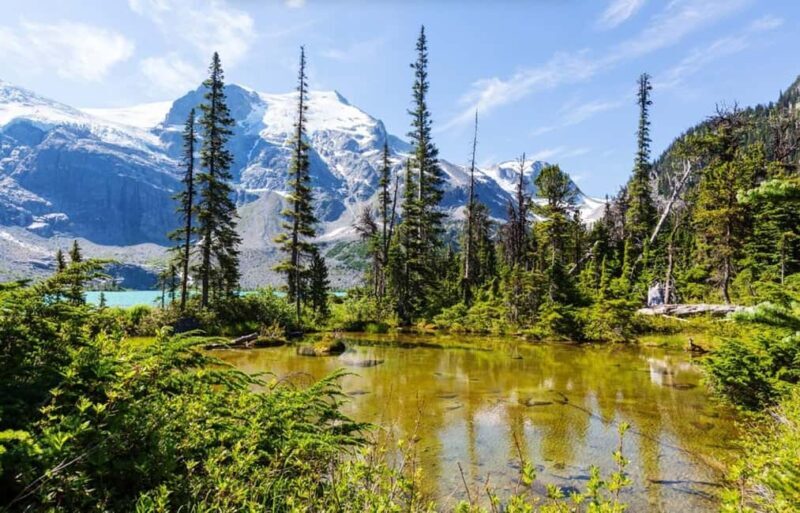 Squamish-Lillooet: Joffre Lakes Guided Hike - Key Points