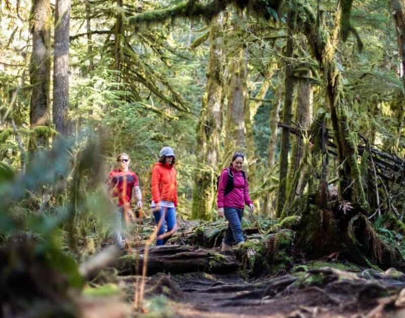 Squamish: Stawamus Chief Guided Hike - Key Points