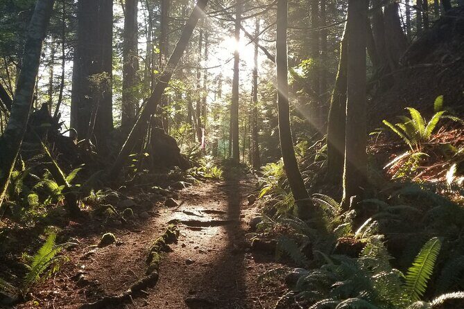 Squamish Trail Running Adventure - What to Expect During the Adventure