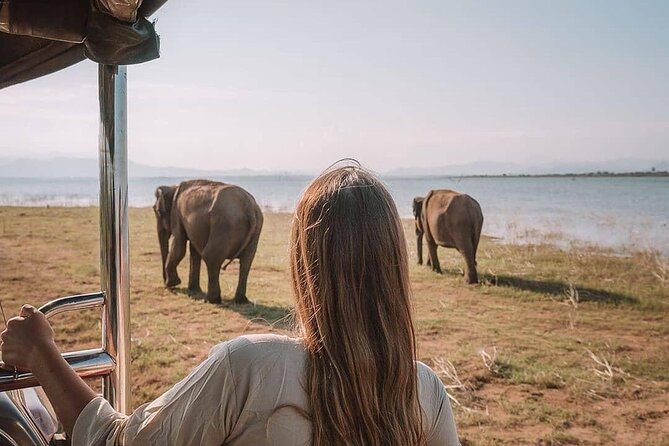 Sri Lanka 03 Night 04 Days Budget Tour Package - Tour Conditions and Accessibility