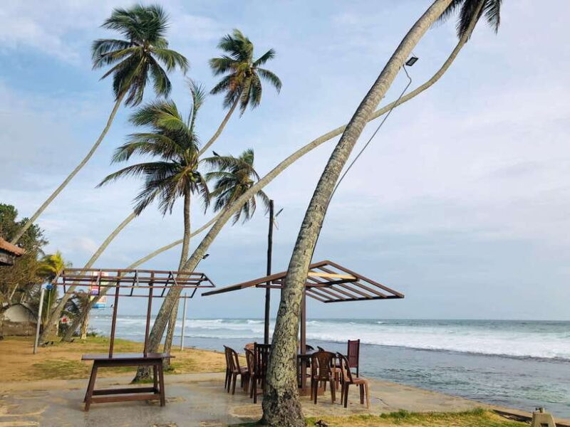 Sri Lanka: 10-Day Luxury Tour with guide - Practicalities: Transportation, Costs, and Scheduling