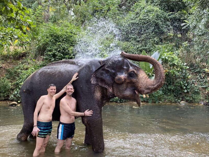 Sri Lanka: 10-Days Private Guided Tour - Key Points