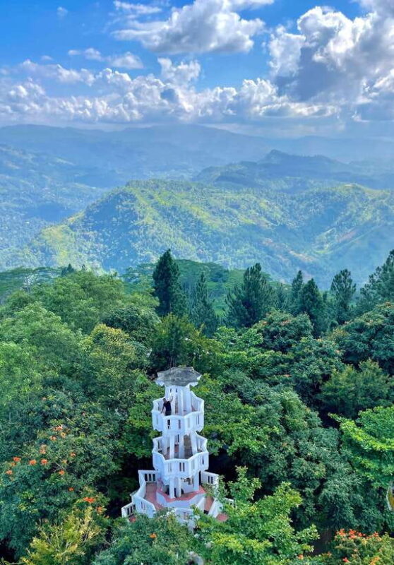 Sri Lanka: 10-Days Private Guided Tour - A Well-Rounded Introduction to Sri Lanka