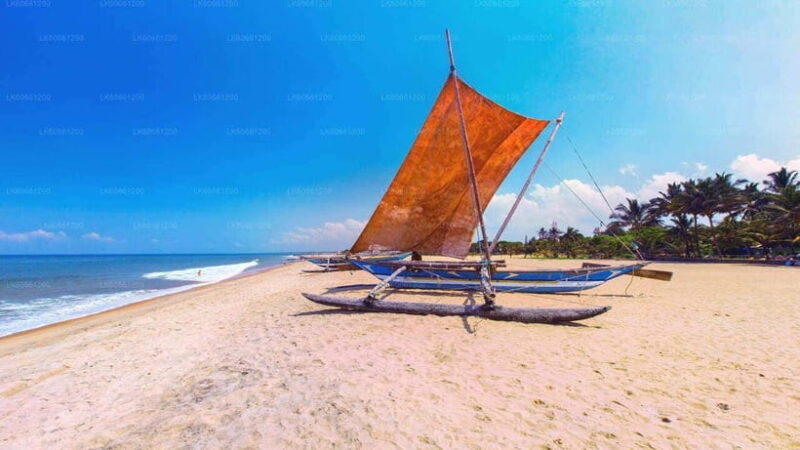Sri Lanka: 10-Night Tour with Island Explorer Grand Tour - The Journey Through Sri Lanka: A Closer Look