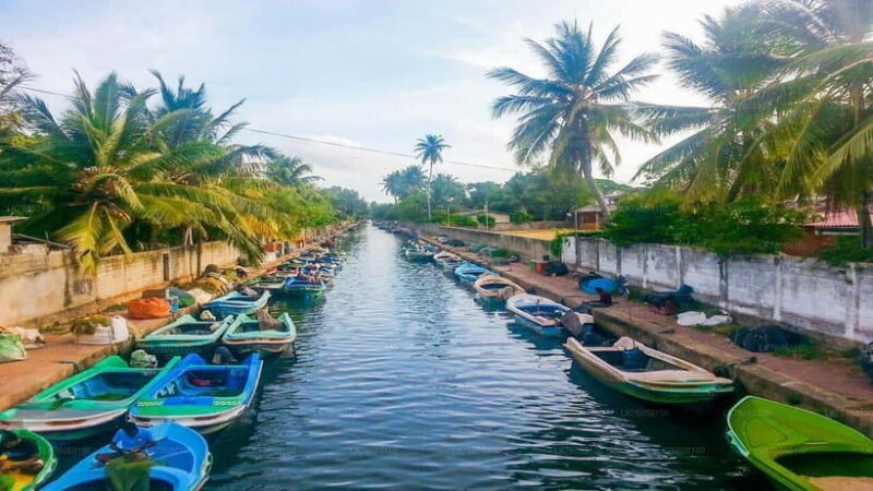Sri Lanka: 12-Day Scenic Adventure Golden Cultural Holiday - Key Points
