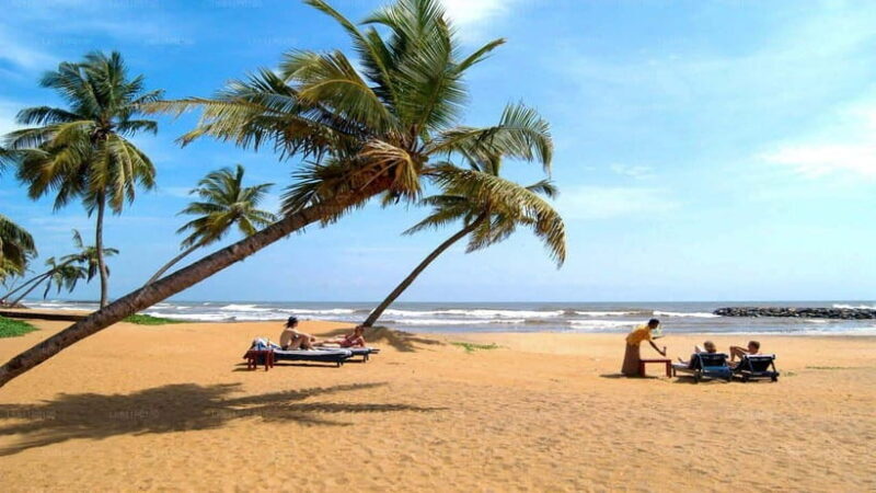 Sri Lanka: 12-Day Tour with Uncover the Rich Heritage - Starting Point: Negombo and the First Impressions
