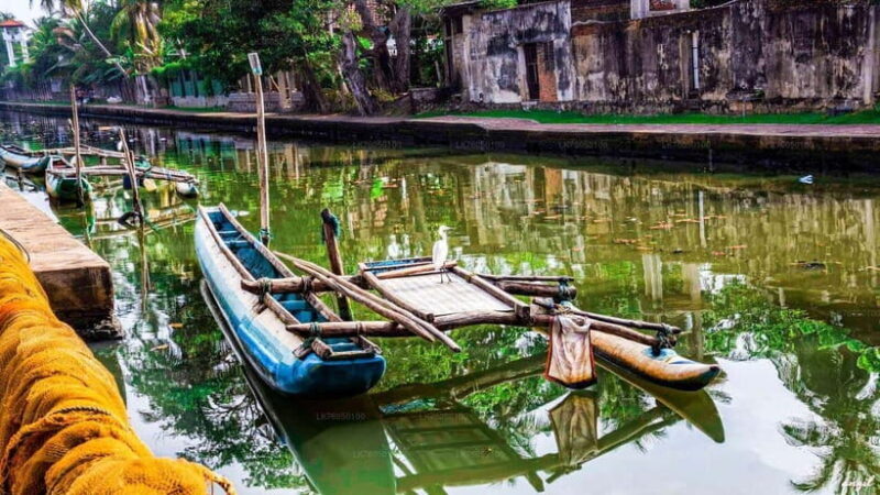 Sri Lanka: 12-Day Tour with Uncover the Rich Heritage - Day 3: The Ancient City of Anuradhapura